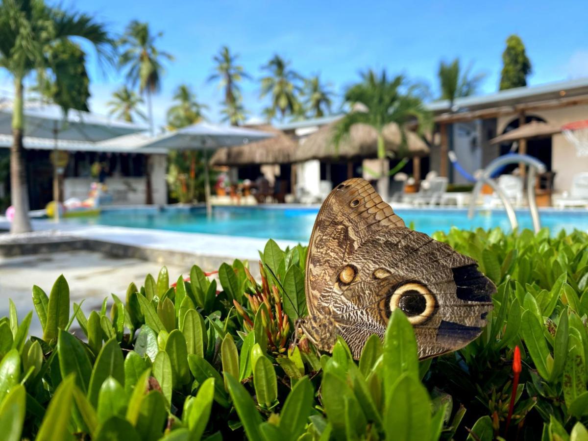 Show Pony Beach Resort And Suites Las Lajas  Exterior foto