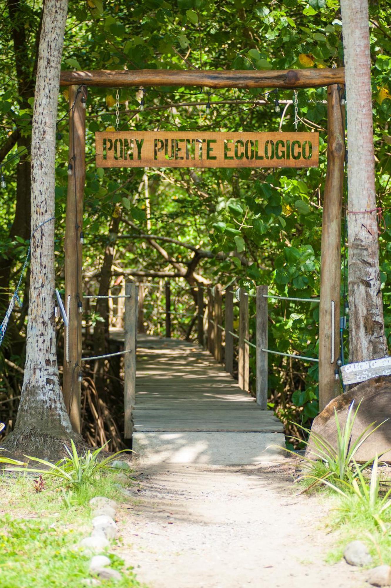 Show Pony Beach Resort And Suites Las Lajas  Exterior foto