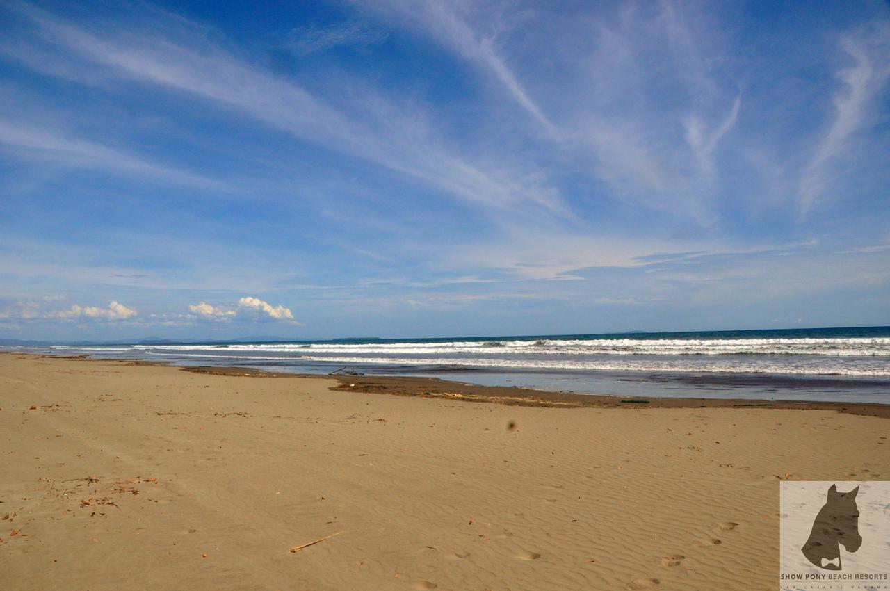 Show Pony Beach Resort And Suites Las Lajas  Exterior foto